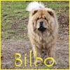 Bilbo