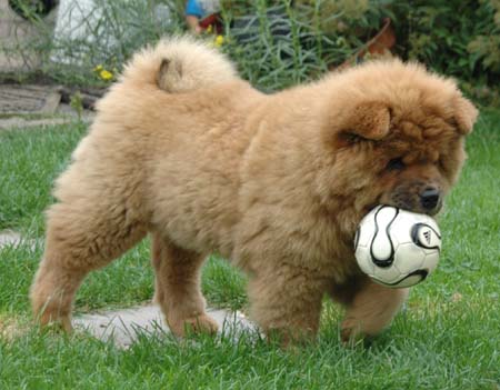 Babe mit Ball