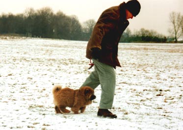 Dini mit Papi auf Schneemarsch