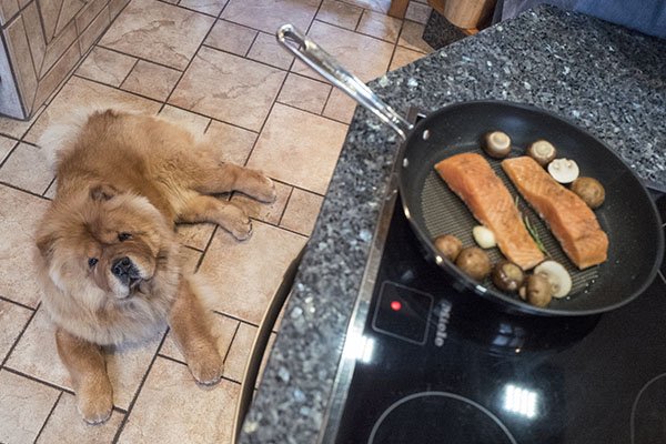 Karfreitag gibt es Fisch